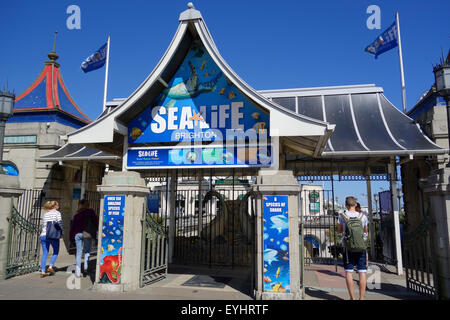 Brighton Sealife Center, East Sussex, England, UK Stockfoto