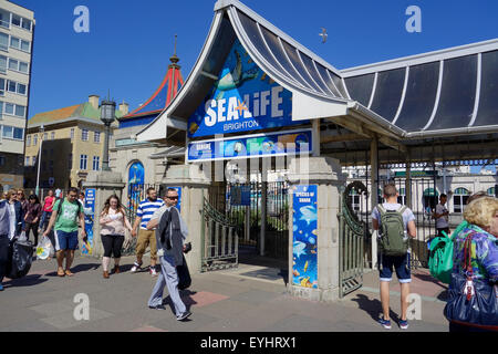 Brighton Sealife Center, East Sussex, England, UK Stockfoto