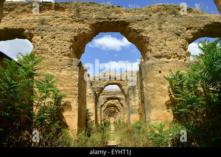 Die ehemaligen königlichen Stallungen Komplex in Meknes Marokko, Nord Afrika es beherbergte einst Tausende von Pferden für den Herrscher Moulay Ismail Stockfoto