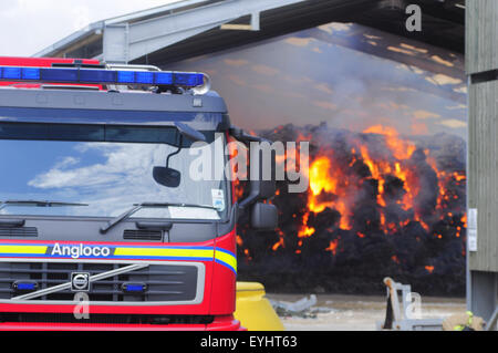 Plumpton, East Sussex, Großbritannien. Juli 2015. Die Feuerwehr enthält Feuer in der Heu- und Strohlagerscheune des Plumpton Agricultural College Stockfoto