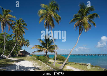 ALTE EISENBAHN BRÜCKE CALUSA STRAND BAHIA HONDA STATE PARK BAHIA HONDA KEY FLORIDA USA Stockfoto