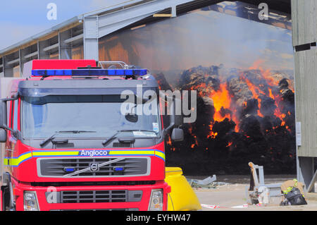 Plumpton, East Sussex, Großbritannien. Juli 2015. Die Feuerwehr enthält Feuer in der Heu- und Strohlagerscheune des Plumpton Agricultural College Stockfoto