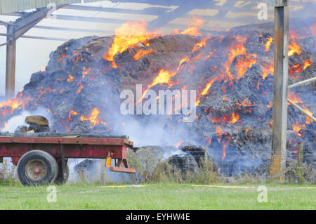 Plumpton, East Sussex, Großbritannien. Juli 2015. Die Feuerwehr enthält Feuer in der Heu- und Strohlagerscheune des Plumpton Agricultural College Stockfoto