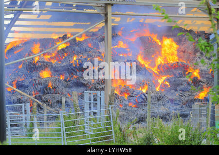 Plumpton, East Sussex, Großbritannien. Juli 2015. Die Feuerwehr enthält Feuer in der Heu- und Strohlagerscheune des Plumpton Agricultural College Stockfoto