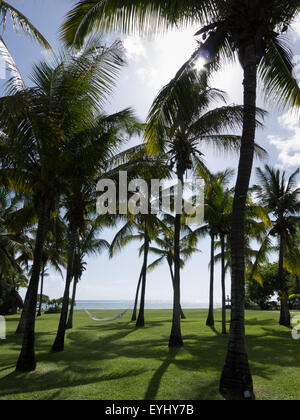 Flic En Flac, Mauritius. La Pirogue Touristenort. Hängematte zwischen Palmen auf dem Seeweg. Stockfoto