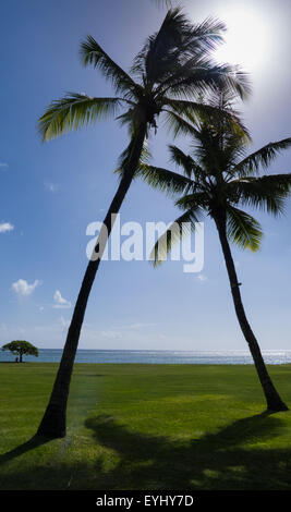 Flic En Flac, Mauritius. La Pirogue Touristenort. Zwei Palmen auf dem Seeweg. Stockfoto