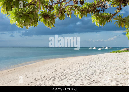 Flic En Flac, Mauritius. La Pirogue Tourist Resort grüner Baum, blaues Meer und weiße Boote und weißem Sand. Stockfoto
