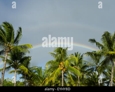 Flic En Flac, Mauritius. La Pirogue Touristenort. Regenbogen über Palmen. Stockfoto