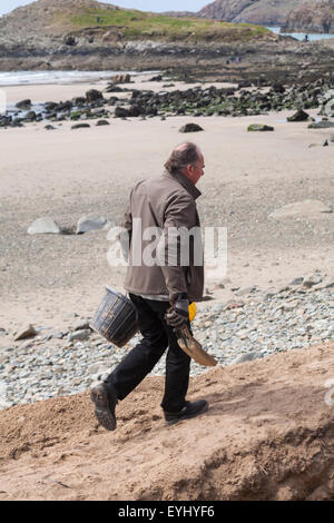 Aushubarbeiten in Whitesands Bay, Pembrokeshire Coast National Park, Wales im Mai - Mann leert Eimer am Strand Stockfoto