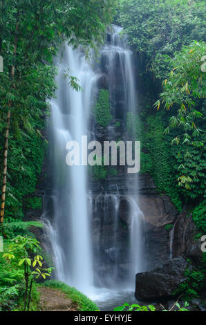 Die wunderschönen Munduk Wasserfall im Hochland von zentral-Bali in der Nähe der Stadt von Munduk, Bali, Indonesien Stockfoto