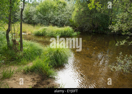 Lone Creek im Norden Spaniens Stockfoto