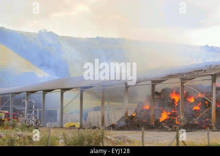 Plumpton, East Sussex, Großbritannien. Juli 2015. Die Feuerwehr enthält Feuer in der Heu- und Strohlagerscheune des Plumpton Agricultural College Stockfoto