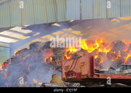 Plumpton, East Sussex, Großbritannien. Juli 2015. Die Feuerwehr enthält Feuer in der Heu- und Strohlagerscheune des Plumpton Agricultural College Stockfoto