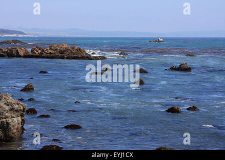 Dichtungen an den Pacific Coast Highway, Südkalifornien, USA Stockfoto