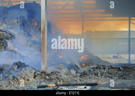 Plumpton, East Sussex, Großbritannien. Juli 2015. Die Feuerwehr enthält Feuer in der Heu- und Strohlagerscheune des Plumpton Agricultural College Stockfoto