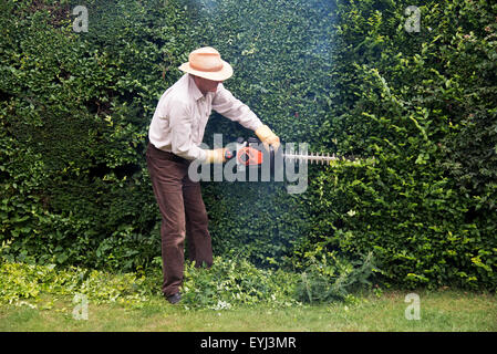 Mann trägt Schutzbrille und Handschuhe Garten schneiden Absicherung mit einem Benzin-Hedge-cutter Stockfoto