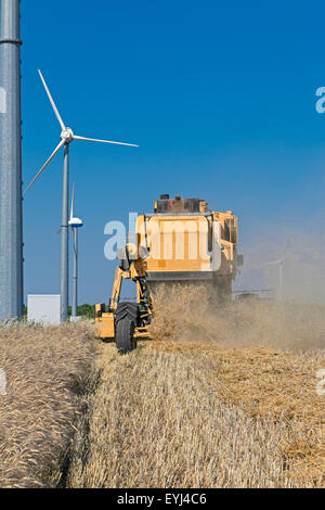 Harvester schneidet Weizen in der Nähe von Windkraftanlagen Stockfoto