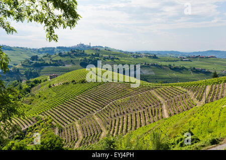 Italien, Panorama über die Weinberge des Piemonts: Langhe Roero und Monferrato auf der UNESCO-Welterbe Liste Stockfoto