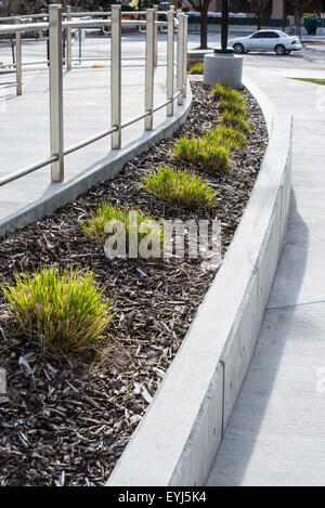 Xeriscape Landschaftsgestaltung um der University of Utah, mit Trockenheit resistente Pflanzen und einheimischen Arten. Stockfoto