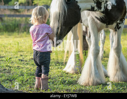 Kleinkind Mädchen mit Gypsy Vanner Pferd Stute auf Koppel Stockfoto