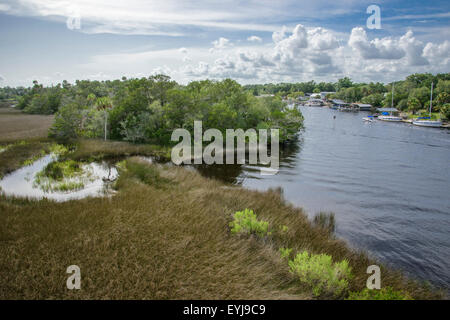 Steinhatchee River in der Nähe von Golf der Mexica, Florida Stockfoto
