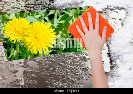 Saison Konzept - Hand löscht Schneeschmelze durch orange Tuch aus Bild- und gelber Löwenzahn, die Blüten erscheinen Stockfoto