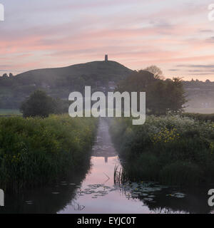 Nebel hüllt Glastonbury Tor bei Sonnenaufgang einen bunten Frühling auf der Somerset Levels. Stockfoto