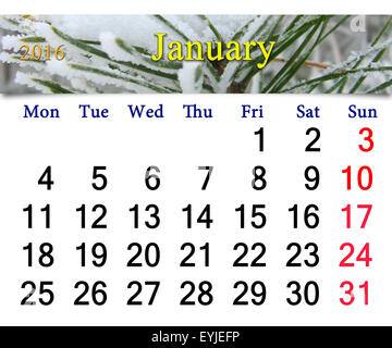 Kalender für Januar 2016 mit verschneiten Tannenzweigen Stockfoto