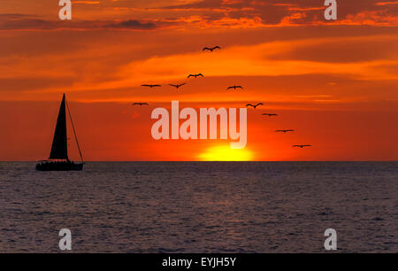 Segelboot Sonnenuntergang Fantasy mit einer Silhouette Boot Segeln auf ihrer Reise gegen einen lebendigen bunten Sonnenuntergang mit Vögel fliegen in Stockfoto