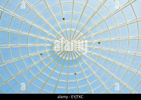 Spider Web-Architektur Stockfoto