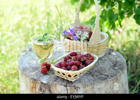 Still-Leben im Freien: einen Korb mit Erdbeeren und Marmelade Stockfoto