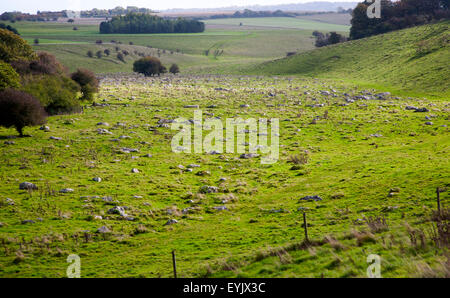 Fyfield unten national Nature Reserve, Marlborough Downs, Wiltshire, England, UK unbebauten Kreide Grünland mit Sarsen Steinen in Stockfoto