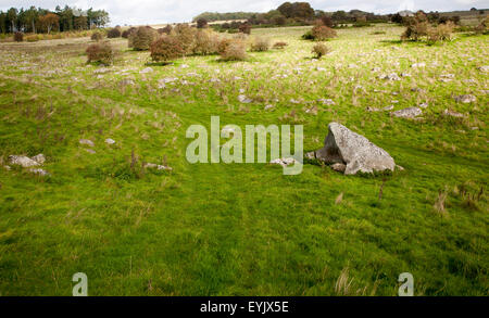 Fyfield unten national Nature Reserve, Marlborough Downs, Wiltshire, England, UK unbebauten Kreide Grünland mit Sarsen Steinen in Stockfoto