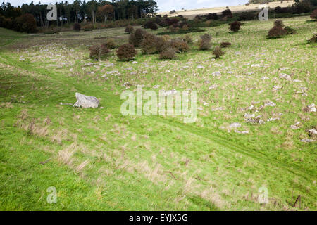 Fyfield unten national Nature Reserve, Marlborough Downs, Wiltshire, England, UK unbebauten Kreide Grünland mit Sarsen Steinen in Stockfoto