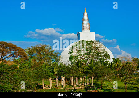 Historische Hauptstadt von Sri Lanka, UNESCO-Weltkulturerbe, Ruvanvelisaya Dagoba, Anuradhapura, Sri Lanka, North Central Province Stockfoto