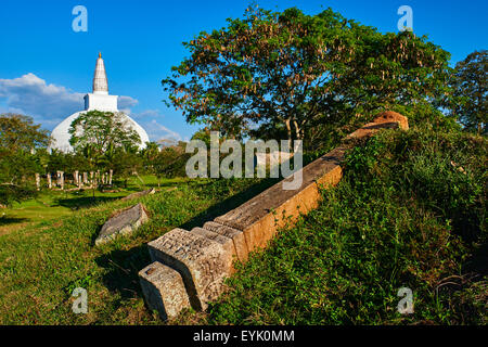 Historische Hauptstadt von Sri Lanka, UNESCO-Weltkulturerbe, Ruvanvelisaya Dagoba, Anuradhapura, Sri Lanka, North Central Province Stockfoto