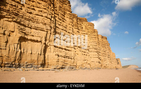 Sandstein-Klippen und Strand West Bay, Bridport, Dorset, England, UK Stockfoto