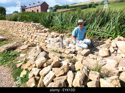 Mann, der arbeitet, Bau einer Trockensteinmauer in der Nähe von Abbotsbury, Dorset, England, UK Stockfoto