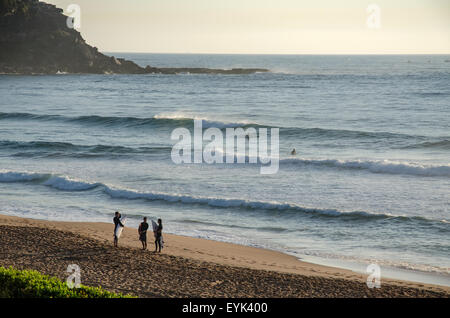 Surfbrettfahrer halten ihre Boards und unterhalten sich am Ufer am Palm Beach in Sydney in Australien Stockfoto