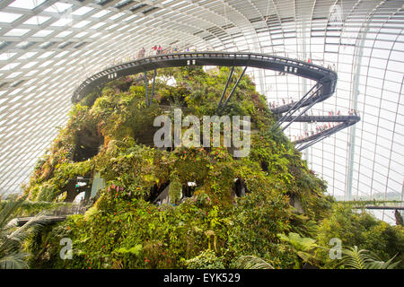 Singapur - Juni 21,2015: die majestätischen Kuppel der Nebelwald ist Teil der Gärten an der Bucht im Bayfront, Singapur. Stockfoto