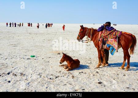 Indien, Gujarat, Kutch, Rann von Kutch, lokale Turist besucht die Salzwüste Stockfoto