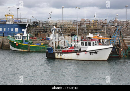Boote im Hafen von Brixham an der Südküste von devon Stockfoto