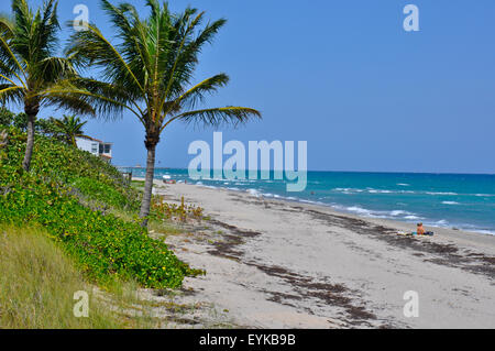 Malerische Aussicht auf tropischen Strand von Fort Lauderdale, Florida, USA zeigt den Ozean, ein paar Sonnen und Palmen Bäume. Stockfoto