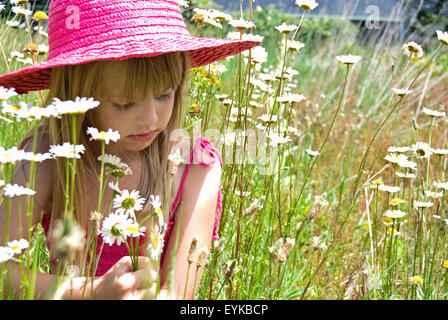 Junges Mädchen mit rosa Hut in einem Feld von wilden Gänseblümchen. Stockfoto