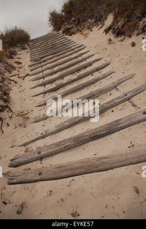 Pfad aus hölzernen Planken an einem Strand in St. Maria Island, Tasmanien, Australien gemacht. Stockfoto