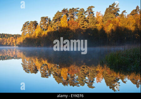 Herbst Eindruck bei Pinnsee Stockfoto