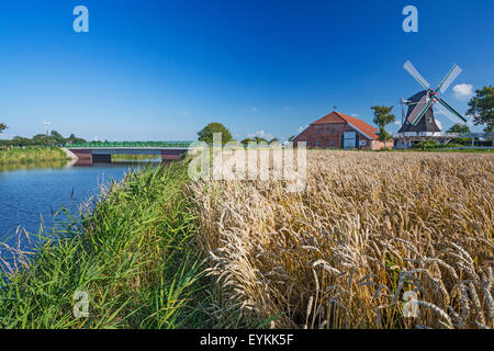 Getreidefeld, Seriemer Mühle mit Neuharlingersiel, Niedersachsen, Ostfriesland, Harlingerland, Stockfoto