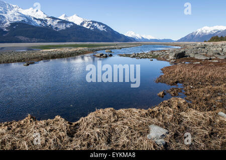 Pools, die durch die Gezeiten am Chilkat Strand in Southeast Alaska gefangen. Stockfoto