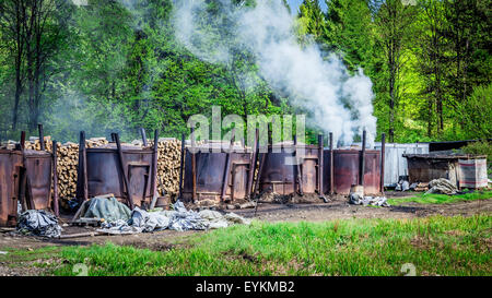 Traditionelle Art und Weise der Produktion von Holzkohle in einem Wald von Bieszczady Gebirge, Polen Stockfoto