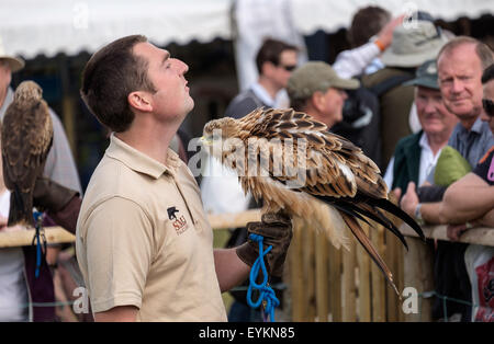 CLA Game Fair 2015 Harewood Stockfoto